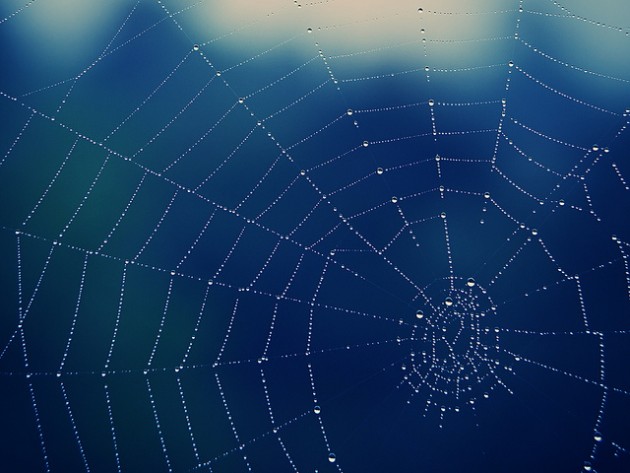 SpiderWeb BY 55Laney69 ［CC:BY 2.0］